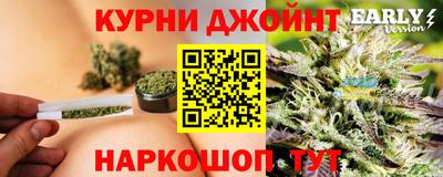 Альфа ПВП Гусев