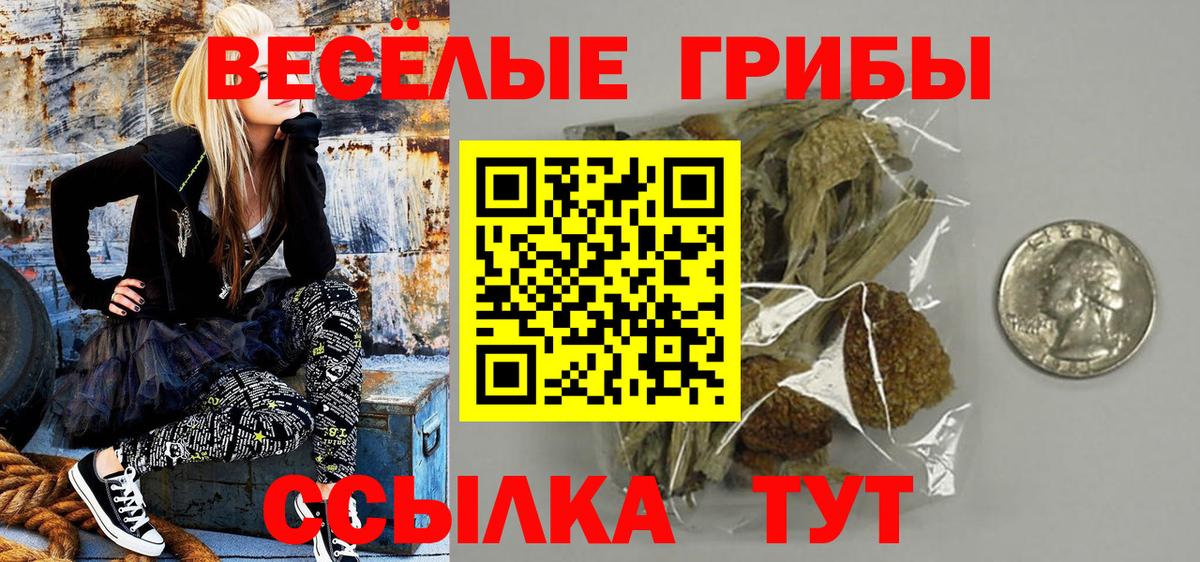 Галлюциногенные грибы мицелий Малоярославец